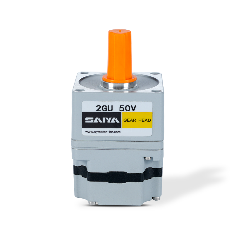 Motore a marcia senza spazzole 100v-120 V