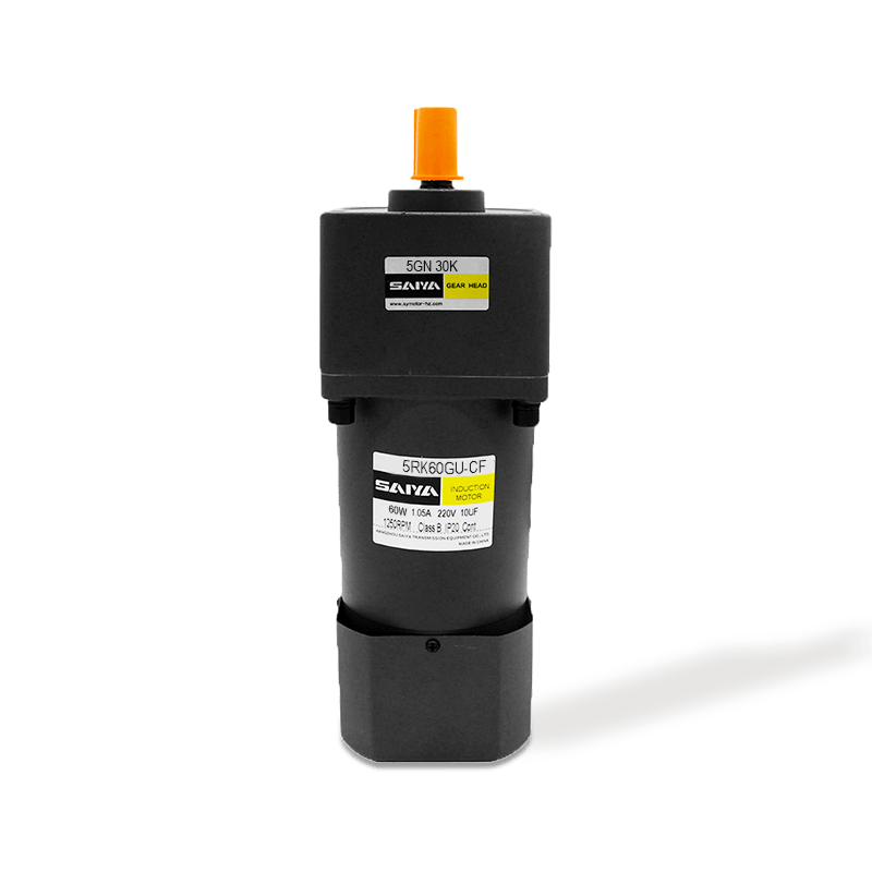 60 W Motori di ingranaggi AC reversibili